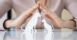 Pets in Estate Planning: Providing for the care and well-being of pets after the owner's death. - estate plan